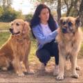 https://be.holidog.com/ImagesPetSitters/01898058-AF9B-4FA9-9D58-51F1B9FC6153_square_120.jpg Claradogsitter-61082-1
