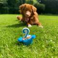 https://be.holidog.com/ImagesPetSitters/029C076C-B5F4-495B-AC39-DEA974221608_square_120.jpg Pet-sitting-By-Vic-100909-2