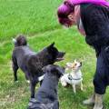 https://be.holidog.com/ImagesPetSitters/05766131-3284-4B39-BCC3-09872198A85A_square_120.jpg Charlotte-B,-comportementaliste-669-1