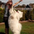 https://be.holidog.com/ImagesPetSitters/09011C14-5786-40E2-88A0-5A76B7F8635B_square_120.jpg 10896-1
