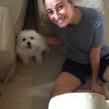 https://be.holidog.com/ImagesPetSitters/0A98E0DC-39BB-4551-9005-2075ADEB4DBF_square_120.jpg Dog-sitter-coccole-e-divertimento!-58341-1