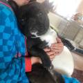https://be.holidog.com/ImagesPetSitters/0F0CE1C1-4FD2-4B63-A3C1-E58632407EB1_square_120.jpg La-ferme-pour-chiens-45881-3