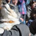 https://be.holidog.com/ImagesPetSitters/153E414A-3BA7-4E9C-A54B-466ED67522F6_square_120.jpg 18106-0