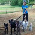 https://be.holidog.com/ImagesPetSitters/19987D38-F085-47C9-BC7D-4B6CC1904A55_square_120.jpg Promeneuse-de-chiens-113602-0