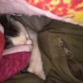 https://be.holidog.com/ImagesPetSitters/1ED9C60A-38CE-4885-B621-FC3D66B67B1C_square_120.jpg Salute-benessere--28036-2