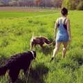 https://be.holidog.com/ImagesPetSitters/1FA5C45D-1B10-4A3A-8C8F-0A5100F32CA3_square_120.jpg Docteure-Pet-Sitter-52310-1