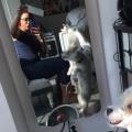 https://be.holidog.com/ImagesPetSitters/212C0799-DD39-499E-A99F-023847530BF3_square_120.jpg A-Pawfriend-in-Paris-212374-3