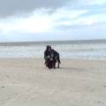 https://be.holidog.com/ImagesPetSitters/2203782D-4FF7-4441-B0AA-5B62404C0854_square_120.jpg Aux-petits-soins-des-animaux-31141-0