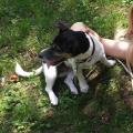 https://be.holidog.com/ImagesPetSitters/237A1684-99DE-41C7-9CFA-B8B0A16109CF_square_120.jpg 9718-1