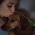 https://be.holidog.com/ImagesPetSitters/2C361FCB-E2A6-4D77-9D0D-C4E7C4798CC8_square_120.jpg I-❤🐶🐱-140455-0