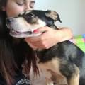 https://be.holidog.com/ImagesPetSitters/2F172972-A45F-45CC-8874-1BE1C182B86A_square_120.jpg Cass-for-pets.--106204-0