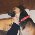 https://be.holidog.com/ImagesPetSitters/38A96A3F-2624-4D86-A5C1-5DFA37908D96_square_120.jpg Ange-des-animaux--51836-1