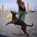https://be.holidog.com/ImagesPetSitters/3D700261-0440-4786-B869-28E3637557EF_square_120.jpg La-serenità-dei-cani--174023-0