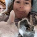 Le-bonheur--d-avoir-des-animaux--50256-0