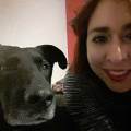 https://be.holidog.com/ImagesPetSitters/43EA039F-D356-4FFC-94F5-2E61EF83A576_square_120.jpg L'amie-des-bêtes--283380-3