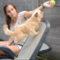 https://be.holidog.com/ImagesPetSitters/45CBC2B1-DFE0-4351-8355-4AC3D0CC6C0B_square_120.jpg Le-bien-être,-ma-priorité.-12686-0
