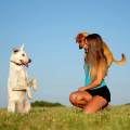 https://be.holidog.com/ImagesPetSitters/484834A7-9F50-45F5-8777-E4F59B0A712E_square_120.jpg Objectif-:-Fun,-Happy-&-Walk-!-28412-0