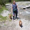 https://be.holidog.com/ImagesPetSitters/4AE171F2-7F4A-4A5D-878B-5BB2F3CCA710_square_120.jpg belle-passeggiate-per-i-campi-51844-1