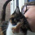 https://be.holidog.com/ImagesPetSitters/4C32C55C-88F2-47BE-9C0F-B42460D5B69A_square_120.jpg 7419-0