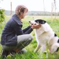 https://be.holidog.com/ImagesPetSitters/52B462F0-A31B-4C30-9400-651DE1188D5F_square_120.jpg Alice-in-Dogland-🐶💛-55390-1