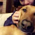 https://be.holidog.com/ImagesPetSitters/54650E94-8D7A-406C-AA6E-B8D51888ACC9_square_120.jpg Amoureuse-des-animaux-421564-0