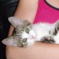 https://be.holidog.com/ImagesPetSitters/585EBA78-469E-4BE6-BCE6-3F14D78953B8_square_120.jpg l'ami-des-animaux--137066-0