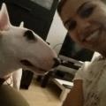 https://be.holidog.com/ImagesPetSitters/5E198FD6-6279-4489-AA07-6DE22CD0CFCD_square_120.jpg 14276-0