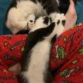 https://be.holidog.com/ImagesPetSitters/5E720D59-00D1-4B55-B8CC-54BCDAE40E0F_square_120.jpg Le-paradis-des-animaux--52726-1