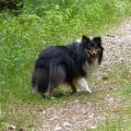 https://be.holidog.com/ImagesPetSitters/63BDD7A8-BEF7-456E-8D9D-80E8C2482C85_square_120.jpg 235494-3