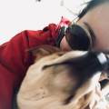 https://be.holidog.com/ImagesPetSitters/643D12F2-86B5-443F-B21B-4AFFACC231AD_square_120.jpg Lâamour-des-animaux-â€ïž-386051-0