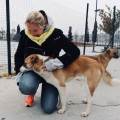 https://be.holidog.com/ImagesPetSitters/68E6FB5E-28F7-42C7-B2E6-66087CBEA532_square_120.jpg Aline--44469-2