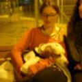https://be.holidog.com/ImagesPetSitters/6ADD9447-CF34-44F8-86CB-ED62E7B8D47D_square_120.jpg passeggiate-affettuose-:)-13868-3
