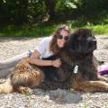 https://be.holidog.com/ImagesPetSitters/6DCD0276-2A8A-483E-863B-435C42F38B21_square_120.jpg Etudiante-passionnée-d'animaux-478264-1