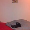 https://be.holidog.com/ImagesPetSitters/73EFFC90-2B1B-4C11-AFE2-A53E2FDA884D_square_120.jpg Petsitter-Ă -Angers-136478-1