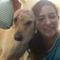 https://be.holidog.com/ImagesPetSitters/76827999-F8FA-4416-B6D1-52E52335EB6B_square_120.jpg I-love-animals!-51457-1