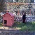 https://be.holidog.com/ImagesPetSitters/775AFE8E-DE72-4BEC-B68E-70BD7AA15251_square_120.jpg Gamze,-Passeggiatrice-per-cani--84803-0