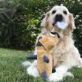 https://be.holidog.com/ImagesPetSitters/7AAD7DF1-459D-49B5-A531-097E162865BA_square_120.jpg Manon--279480-2