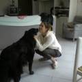 https://be.holidog.com/ImagesPetSitters/7B667E33-4B55-4E91-A018-0C011B84680C_square_120.jpg Coccole-e-sport-per-il-tuo-cane-144955-2