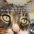 https://be.holidog.com/ImagesPetSitters/7E62EAAB-A9E6-43FA-B09C-58E71C397973_square_120.jpg Au-service-des-poilus-&CO-43921-1