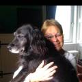 https://be.holidog.com/ImagesPetSitters/7F8C1756-51F1-4EC8-9504-C84D72293088_square_120.jpg UNE-NOUNOU-QUI-VOUS-CHOUCHOUTERA-53033-1
