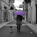 https://be.holidog.com/ImagesPetSitters/8262DE10-D6A4-4959-B399-D6E8BAEF2F7E_square_120.jpg Stroll-Girl-19464-3