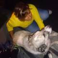 https://be.holidog.com/ImagesPetSitters/8317EEC1-F9E8-4843-AACD-7652B734F88E_square_120.jpg Lunghe-passeggiate-e-tante-coccole-106426-0
