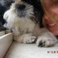 https://be.holidog.com/ImagesPetSitters/84C1E56F-80B1-4DEF-BB5F-751496D6F2D6_square_120.jpg 4628-0