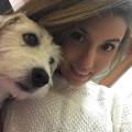 https://be.holidog.com/ImagesPetSitters/8645E6BE-6F01-4240-9F41-4E8DB7D68262_square_120.jpg Coccole-e-tanto-divertimento-🐶-115170-0