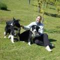 https://be.holidog.com/ImagesPetSitters/87795C1C-B0D2-463E-8915-5F45867D0DCA_square_120.jpg Coccole-e-giochi-77852-0