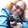 https://be.holidog.com/ImagesPetSitters/897A7674-1115-49FE-84EA-DA46E9AE5A18_square_120.jpg Dog-and-cat's-family-93552-0