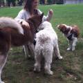 https://be.holidog.com/ImagesPetSitters/8E4C7F85-8E62-474B-B018-B0D450670D37_square_120.jpg Claradogsitter-61082-2