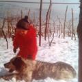 https://be.holidog.com/ImagesPetSitters/8E5D2E8E-168F-414D-90F4-113CB3C2330B_square_120.jpg AMORE-PER-GLI-ANIMALI-26775-2