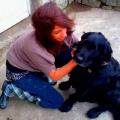 https://be.holidog.com/ImagesPetSitters/9BA7E8D4-850D-49A8-AACB-C61BFCB28D40_square_120.jpg 10358-0