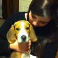 https://be.holidog.com/ImagesPetSitters/9BC68C71-331F-4041-91D8-428F93344038_square_120.jpg 14687-0